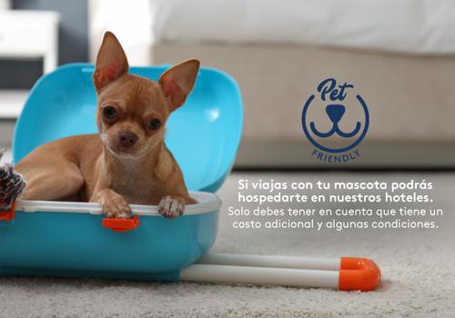 Admite mascotas Hotel ESTELAR Altamira Ibagué