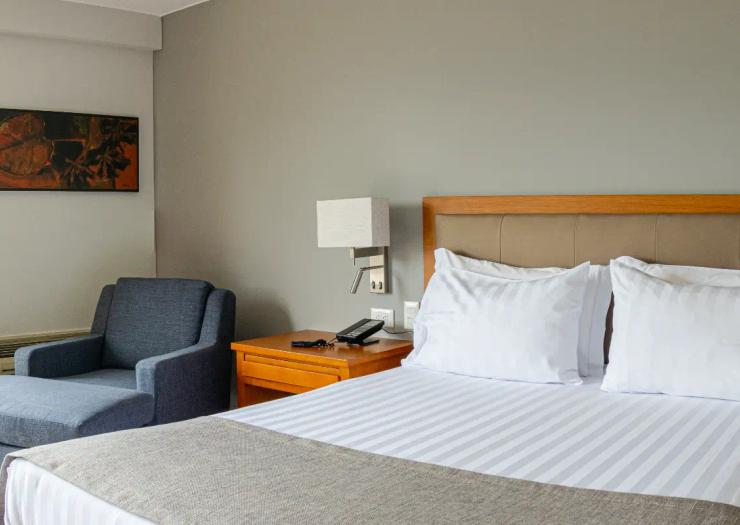 Estándar Estelar Queen ESTELAR Altamira Colombia - Ibagué Estándar Estelar Queen ESTELAR Altamira Colombia - Ibagué