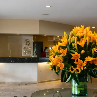 Lobby ESTELAR Altamira Colombia - Ibagué Lobby ESTELAR Altamira Colombia - Ibagué
