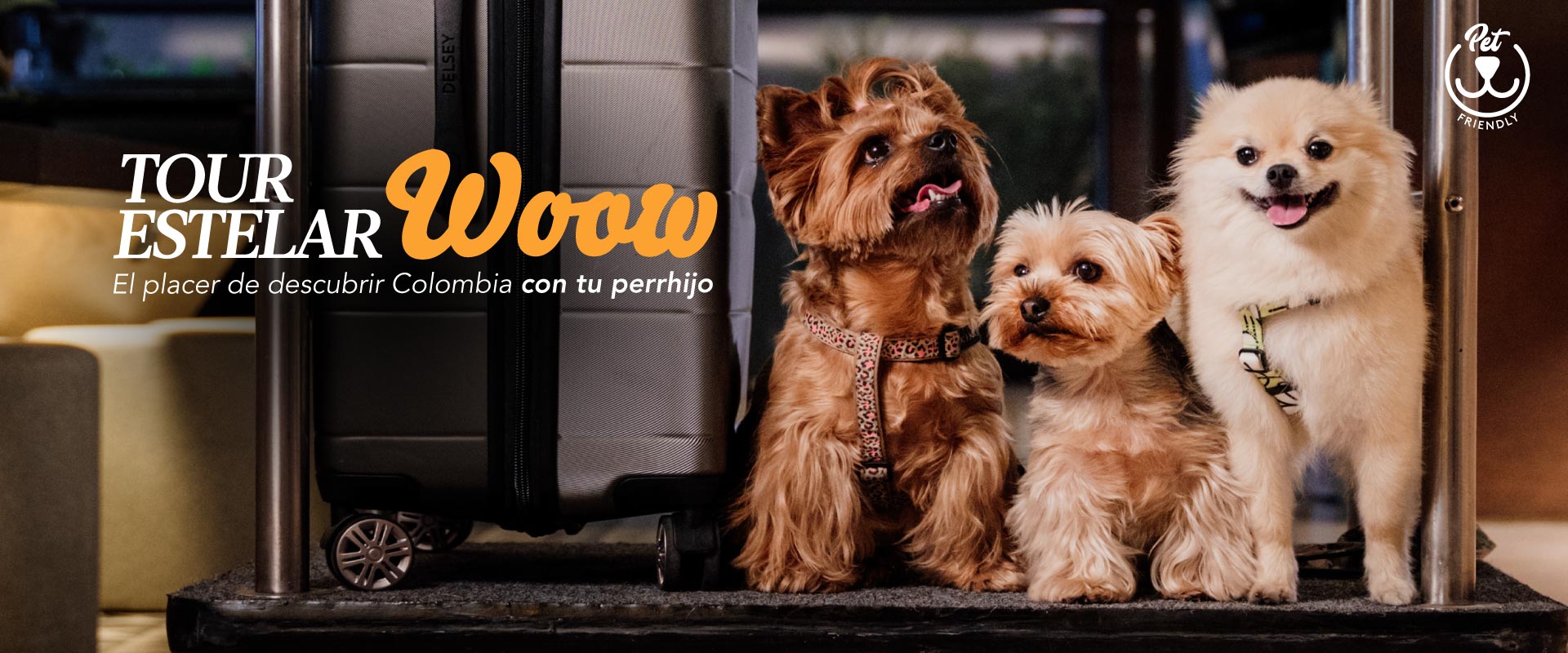 ESTELAR Altamira Colombia - Ibagué   ESTELAR Altamira Colombia - Ibagué